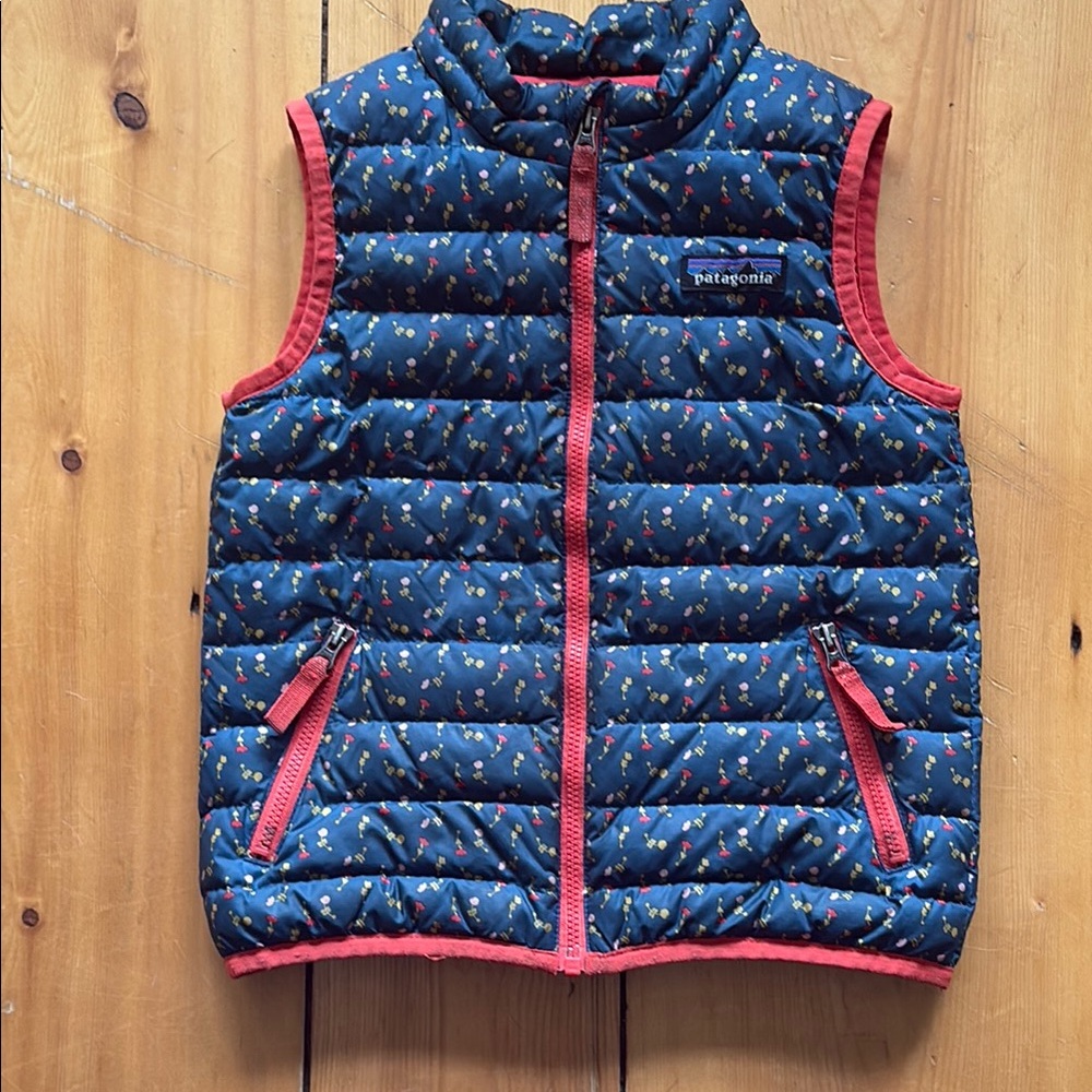 Patagonia Down Sweater Vest, 4T